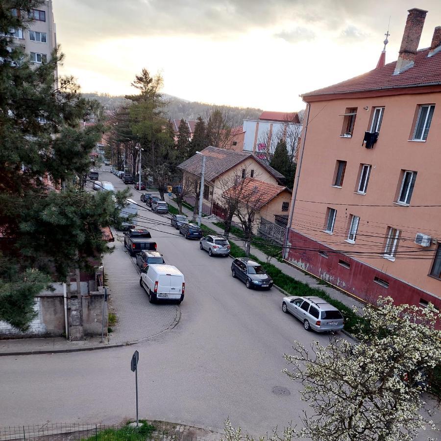 Fely Room Petroşani Exterior foto